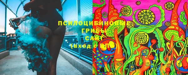 гашик Армянск