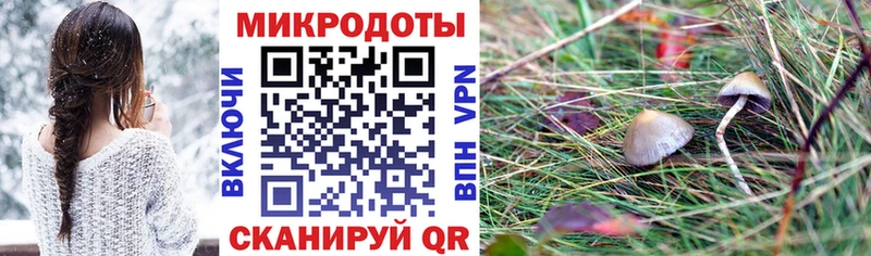 Галлюциногенные грибы Psilocybe дарнет шоп blacksprut tor Ахтубинск