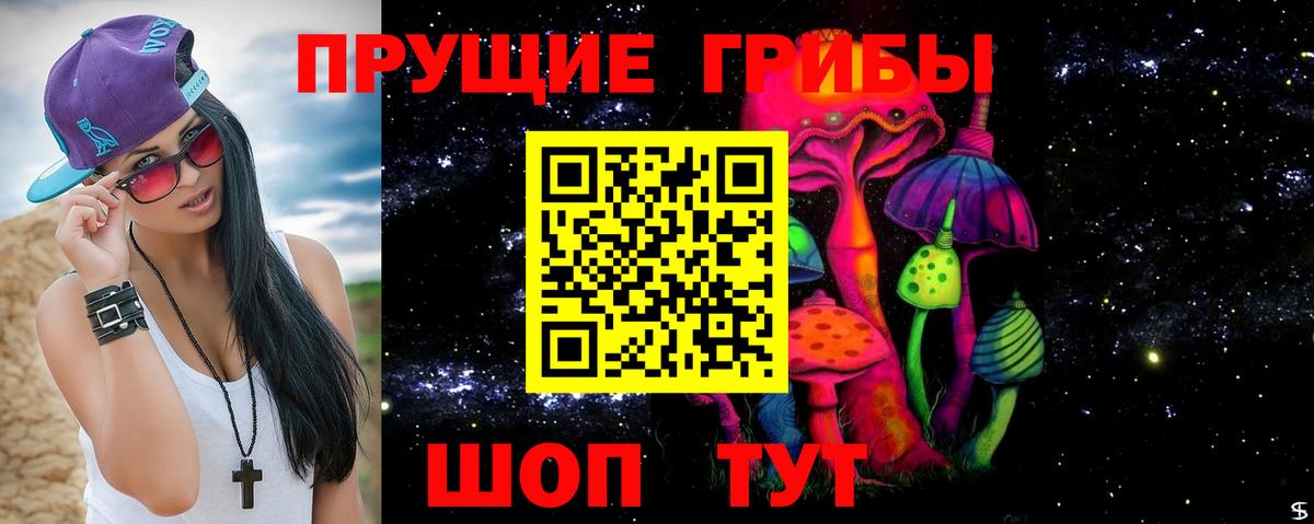 Псилоцибиновые грибы Psilocybe  Вход с VPN  Галлюциногенные грибы ЛСД  Ахтубинск 