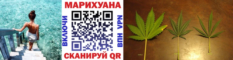 Шишки марихуана сатива  даркнет наркотические препараты  Ахтубинск 